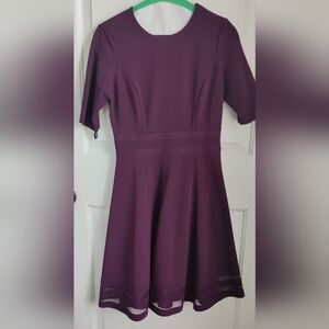 Elegant Plum Dress